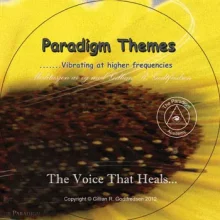 paradigm_themes